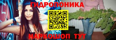 ПСИЛОЦИБИНОВЫЕ ГРИБЫ Шебекино