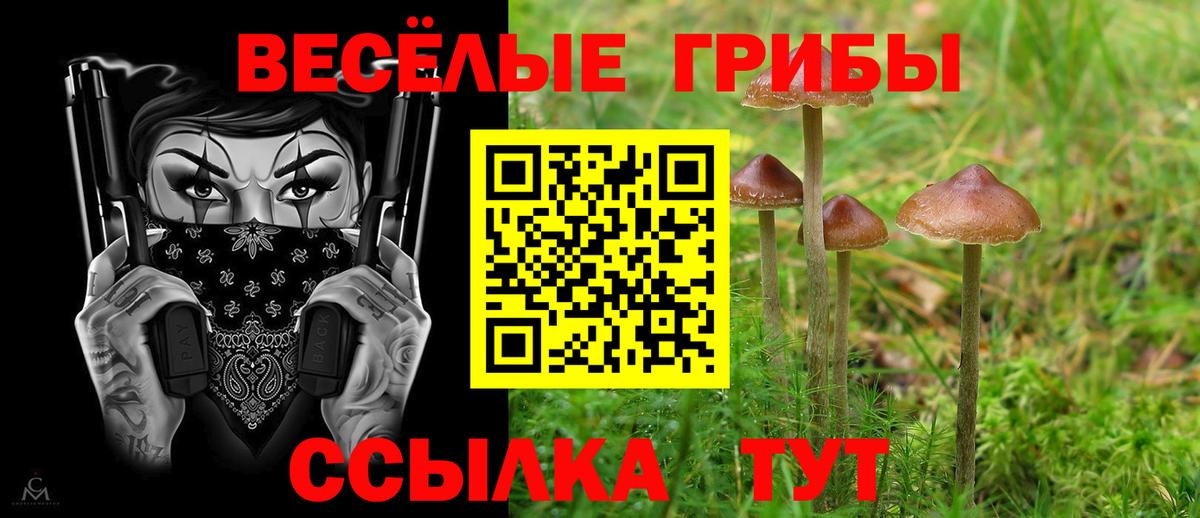 Псилоцибиновые грибы ЛСД  Вход с VPN  Барнаул 